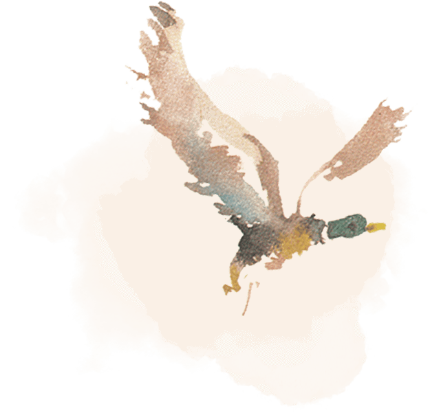 FinBec_badge_Kollektion_Spezialitaeten.png